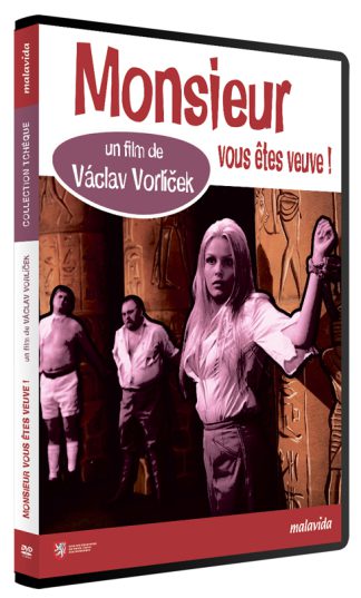 Image principale de MONSIEUR VOUS ETES VEUVE
