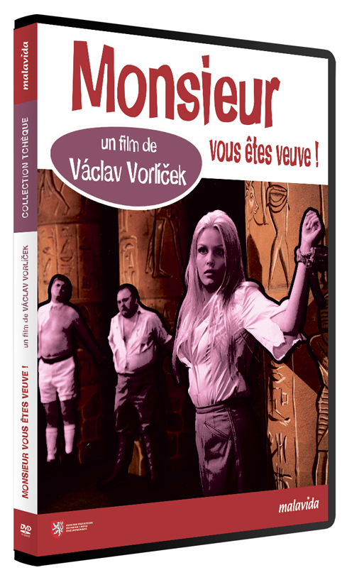 Image principale de MONSIEUR VOUS ETES VEUVE