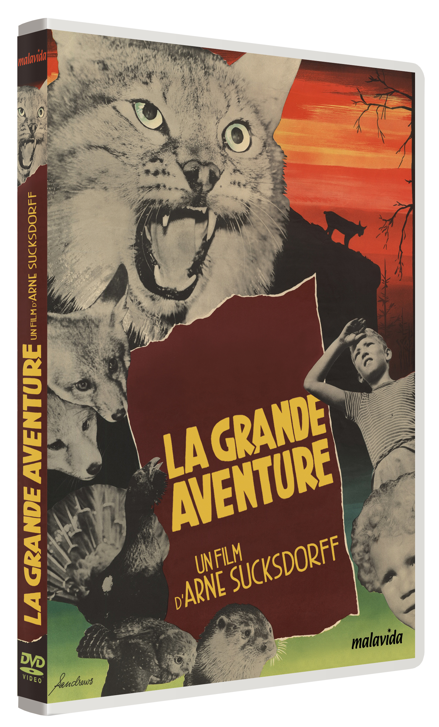 Image principale de LA GRANDE AVENTURE